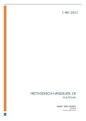 Methodisch Handelen 2B, Hulpplan, casus Gino