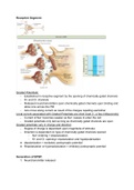 Class notes BIOL 227, Chapter 12: Nervous tissue and neurons