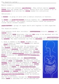 Biology GCSE topic 2 revision - includes higher/triple tier content 