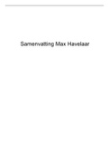 max havelaar samenvatting download 2022, max havelaar samenvatting per hoofdstuk, max havelaar boek samenvatting 2022, max havelaar chapter summary	