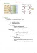 H4 spijsvertering (nieuw curriculum)