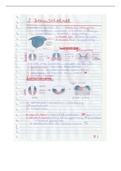 samenvatting les 2 zenuwstelsel en les 3 asskelet, skelet ledematen 2022/2023