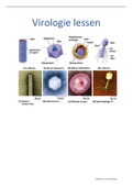 Minor Medische Microbiologie blok 1 theorie   praktijk samenvattingen