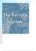 The Nervous System