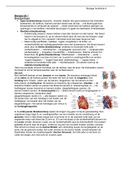 Biologie hoofdstuk 9: Bloedsomloop