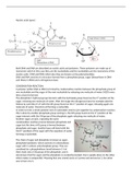 Assignment 11.1 Nucleic acids 