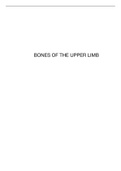 Bones of the upper limbs