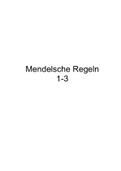 Mendelsche Regeln (1-3)