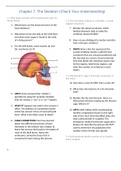 Chapter 7. The Skeleton (Check Your Understanding Questions)