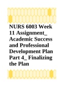 NURS 6003 Week 11 Assignment_ Academic Success and Professional Development Plan Part 4_ Finalizing the Plan