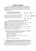 Samenvatting Werken Conceptueel (AIV-V2WEC-19)