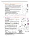 Lernübersicht STEX Pharmazeutische Technologie