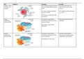 The Functions of Eukaryotic Cells 