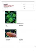 Marine Microbes Questions with complete  solutions Sheet Merged. Graded A+ 