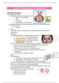 anatomie: het ademhalingsstelsel (samenvatting)