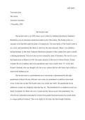 The Scarlett Letter: Essay