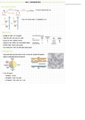 RNA and Transcription