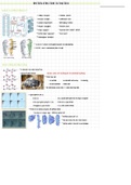 Protein Structure is Function