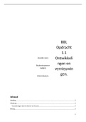 Ontwikkeling en vernieuwing BBL 1.1