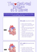 The Electrical System at a Glance - ECG Study Pamphlet 