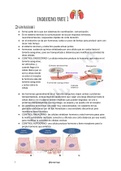 Sistema Endocrino Histología Parte 1