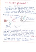 EVERYTHING TO UNDERSTAND ABOUT ACTION POTENTIAL GENERATION AND PROPOGATION