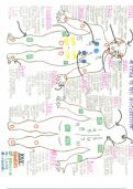 Fundamentals of nursing concepts 