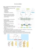 Samenvatting de cel en eiwitten