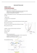 Samenvatting Orgaanfysiologie (Bloed, Cardiovasculaire En Gastro-intestinale Fysiologie & Nier-, Ademhaling- En Voortplantingsfysiologie) 