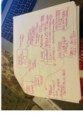 patho postrenal:obstructive aki concept map