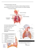 Samenvatting kennisbasis 1.2 biomedisch 