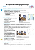 Brain & Cognition 3: Cognitive Neuropsychology summary