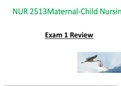 Exam 1 Review PPT - NUR 2513 / NUR2513 (Latest 2022 / 2023): Maternal Child Nursing - Rasmussen