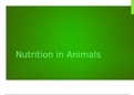 Nutrition in Animals Revision