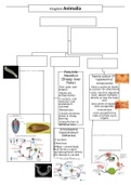 Practical 2 summary - ZEN161