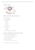 mRNA processing process 