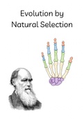 Notes to Evolution by Natural Selection