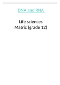 DNA and RNA (matric IEB) - life sciences 