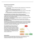 Samenvatting developmental psychopathology, hoofdstuk 10, 13 en gedeelte hoofdstuk 8