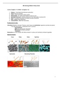 MICROBIOLO BIOS 242 Midterm Study Guide  (Version 2) -Verified And Correct Answers, Chamberlain College of Nursing