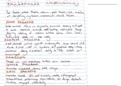 IEB Notes on Tshepang