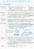 Samenvatting Feniks VWO de Verenigde Staten: ideaal en werkelijkheid