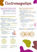 Electromagnetism [Grade 11 Physical Sciences]