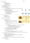 Chapter 4 Nutrition 2000 Notes- Carbohydrates