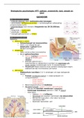 Biologische psychologie 2: hoofdstuk 7 gehoor, evenwicht, tast, smaak en geur