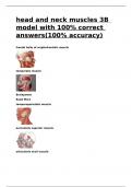 head and neck muscles 3B model with 100- correct answers(100- accuracy).