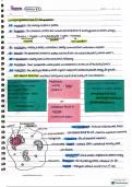 AS level Chemistry notes for Pearson Edexcel 