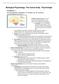 Samenvatting 1.4 Biological psychology: the human body Psychologie