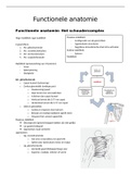 Functionele anatomie schouder 