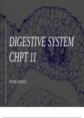 Cpt codes and guidelines for the digestive system 